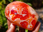 Polished Carnelian Agate Gemstone Standing Free Forms x 4 From Madagascar