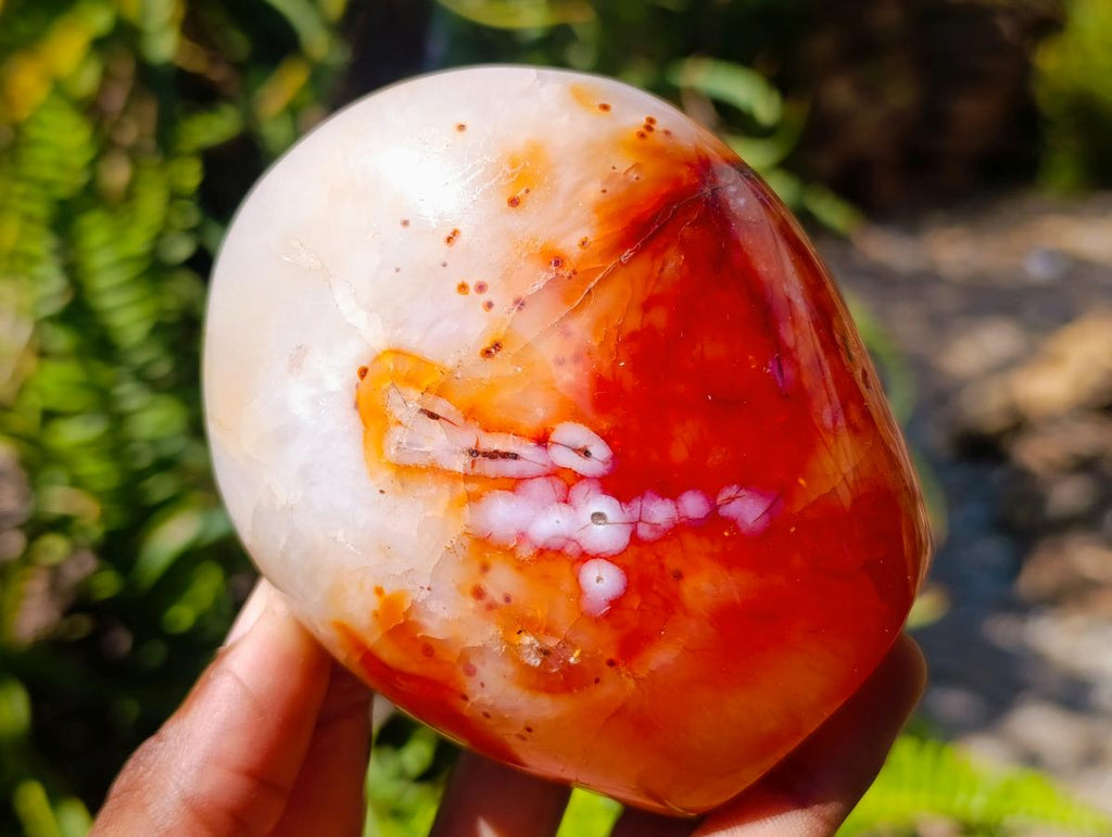 Polished Carnelian Agate Gemstone Standing Free Forms x 4 From Madagascar