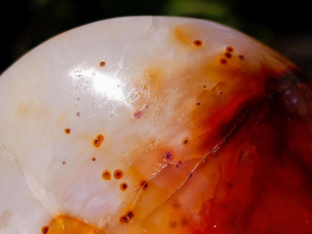 Polished Carnelian Agate Gemstone Standing Free Forms x 4 From Madagascar