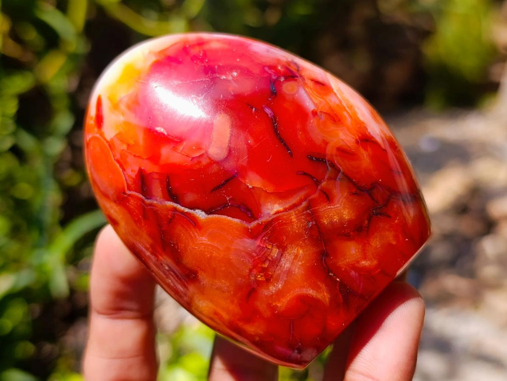 Polished Carnelian Agate Gemstone Standing Free Forms x 4 From Madagascar