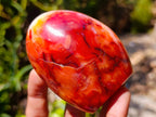 Polished Carnelian Agate Gemstone Standing Free Forms x 4 From Madagascar
