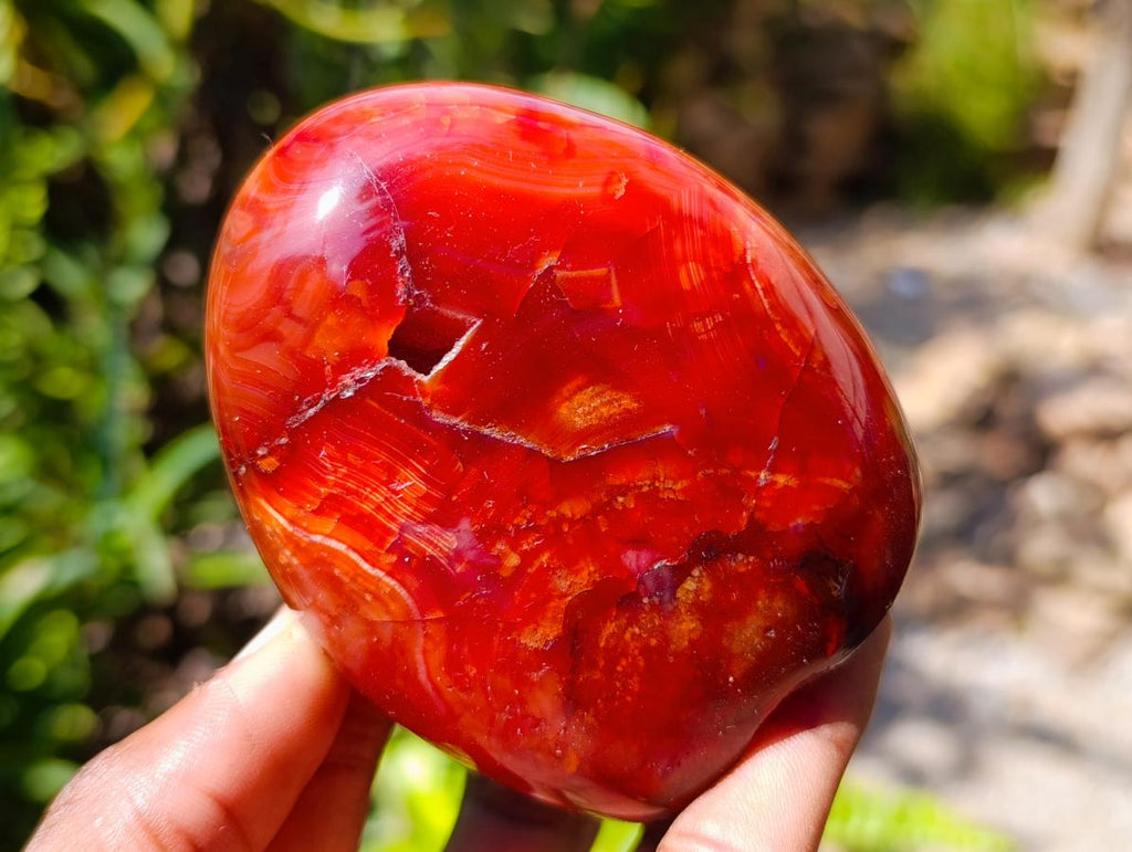 Polished Carnelian Agate Gemstone Standing Free Forms x 4 From Madagascar