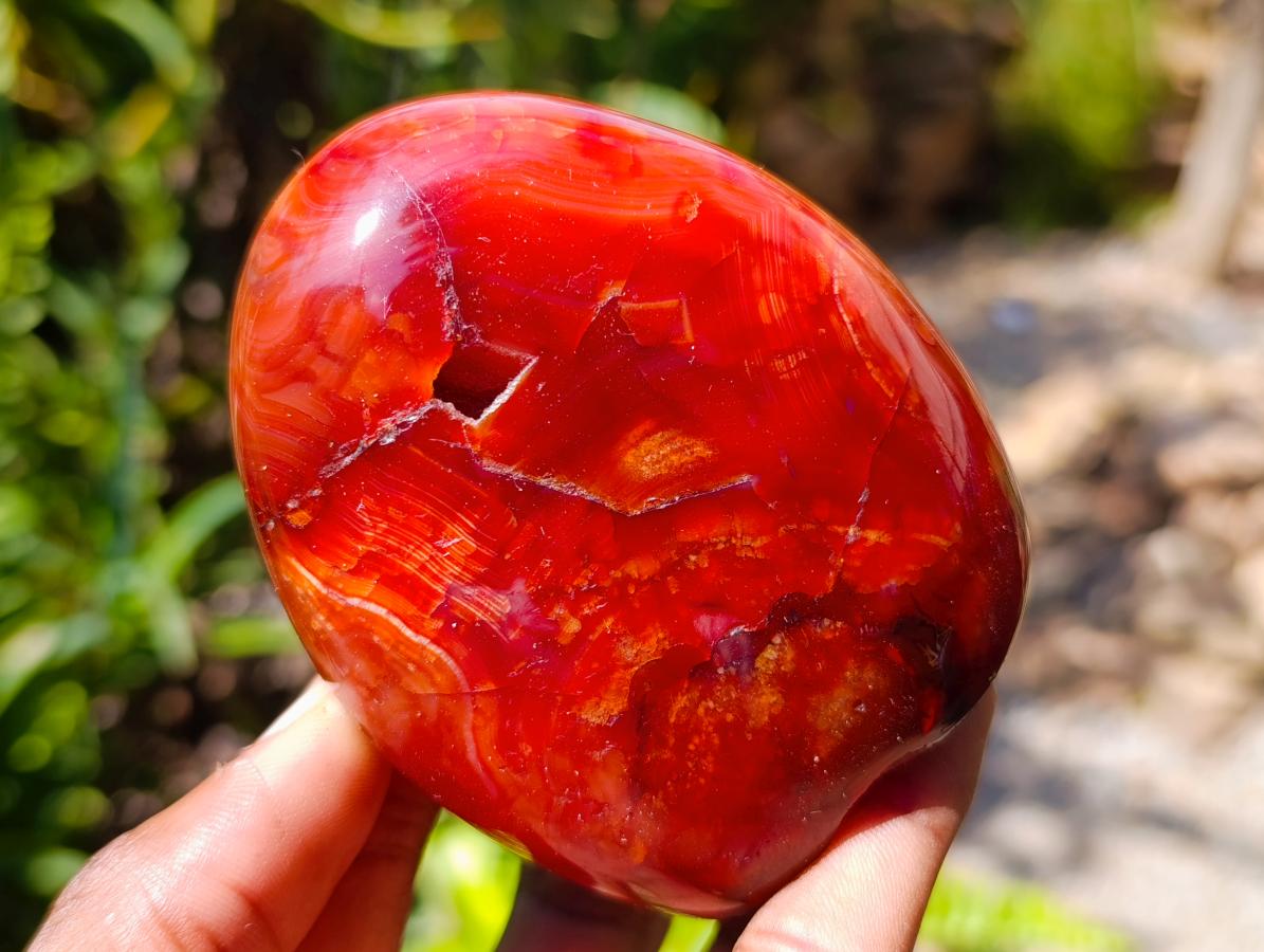 Polished Carnelian Agate Gemstone Standing Free Forms x 4 From Madagascar