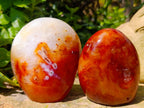 Polished Carnelian Agate Gemstone Standing Free Forms x 4 From Madagascar
