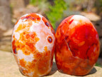 Polished Carnelian Agate Gemstone Standing Free Forms x 4 From Madagascar