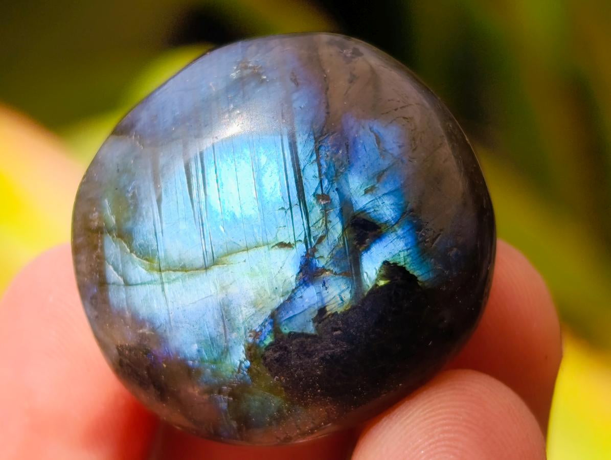 Polished Rounded Mini Labradorite Free Forms x 40 From Madagascar