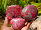 Polished Rhodonite Free Forms x 6 From Rhusinga, Zimbabwe