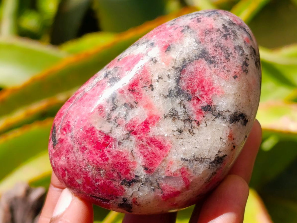 Polished Rhodonite Free Forms x 6 From Rhusinga, Zimbabwe