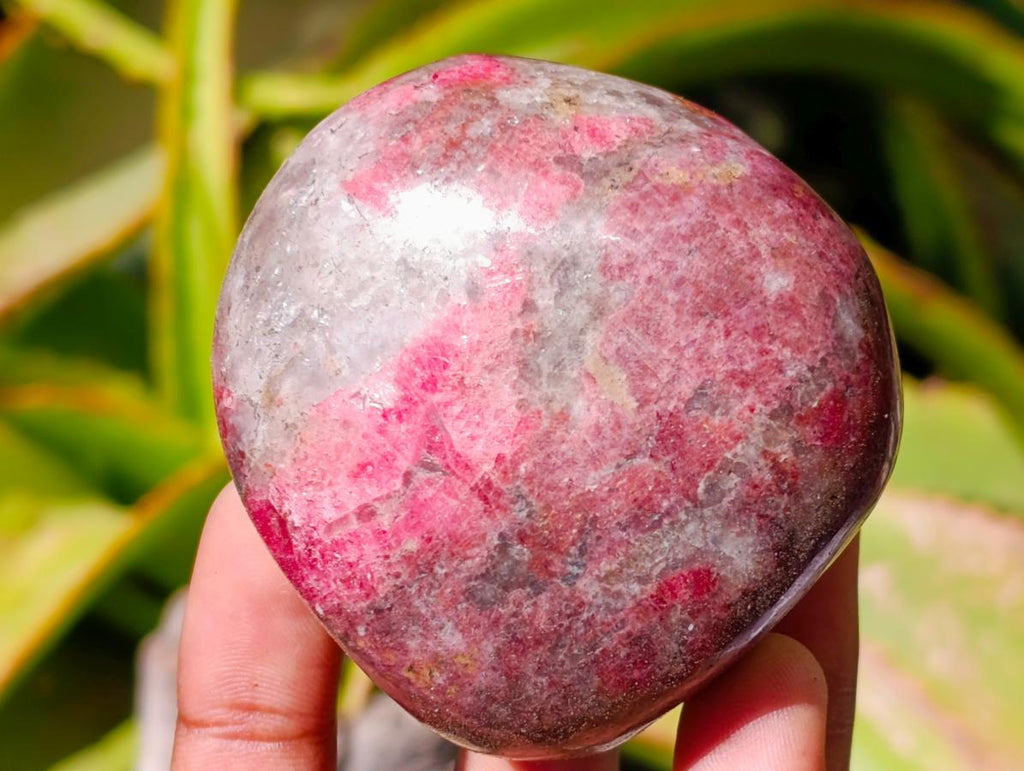 Polished Rhodonite Free Forms x 6 From Rhusinga, Zimbabwe