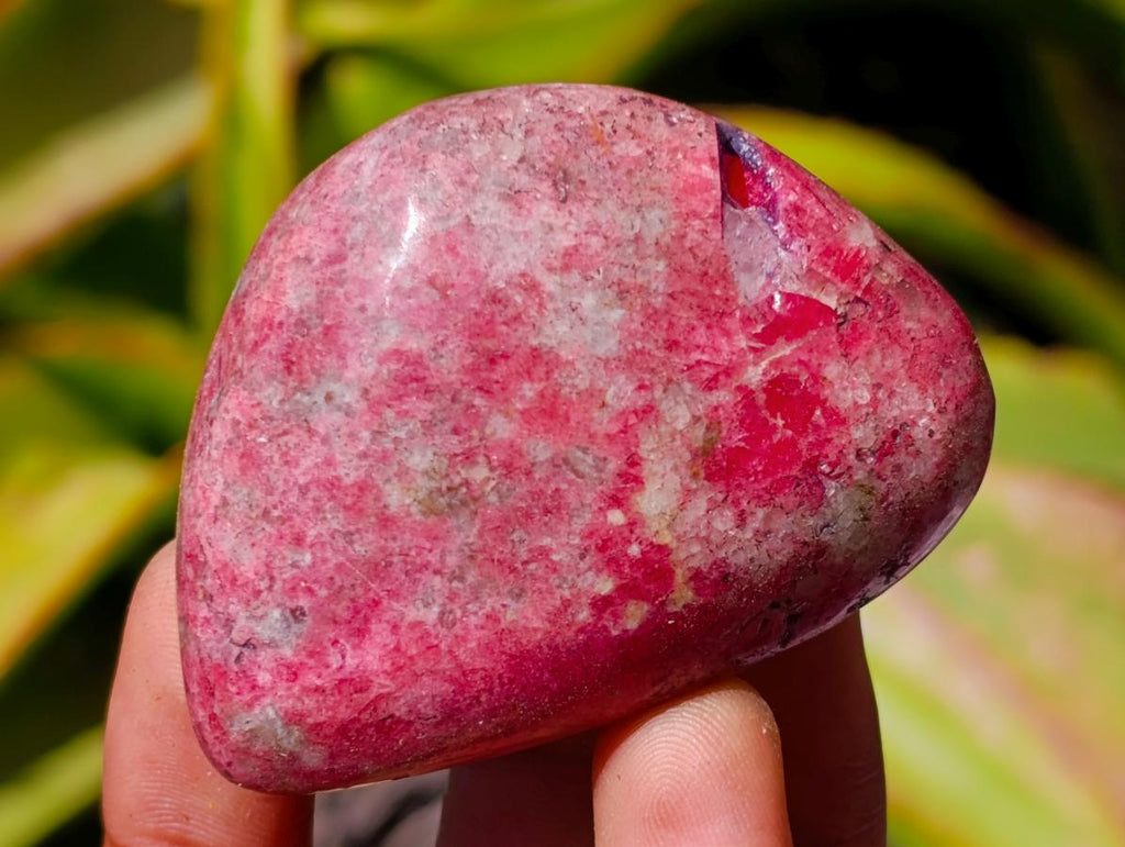 Polished Rhodonite Free Forms x 6 From Rhusinga, Zimbabwe