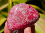 Polished Rhodonite Free Forms x 6 From Rhusinga, Zimbabwe