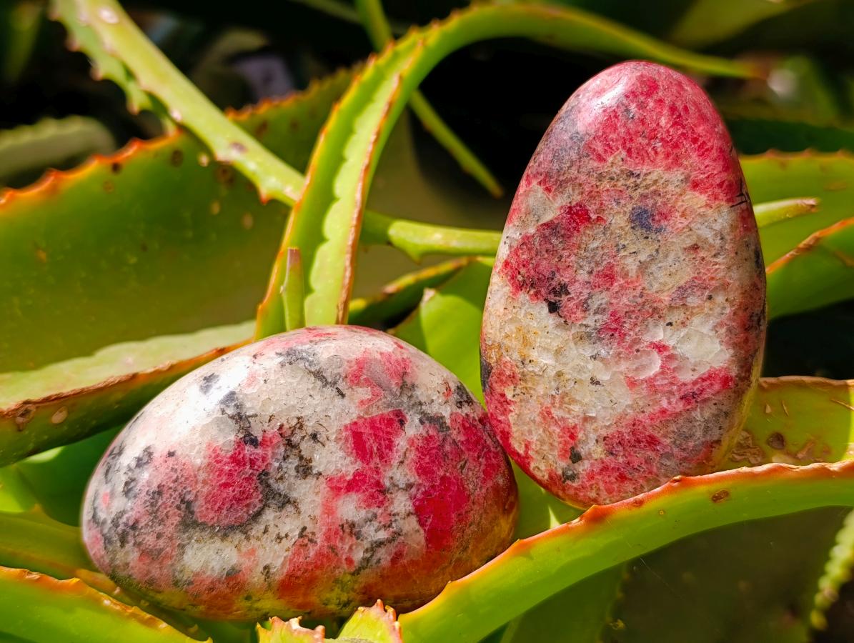 Polished Rhodonite Free Forms x 6 From Rhusinga, Zimbabwe