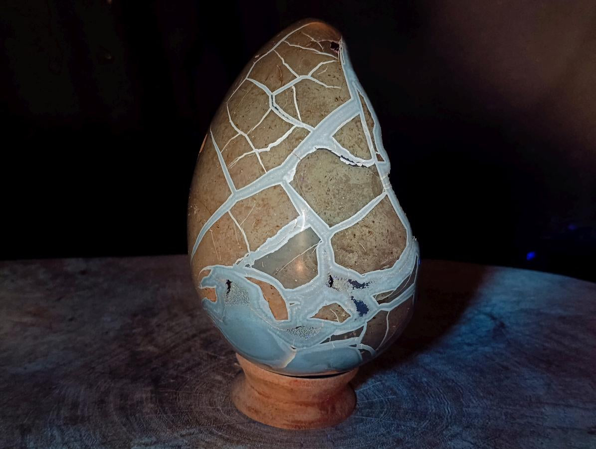 Polished Large Septerye Sauvage "Dragons Egg" Geode x 1 From Mahajanga, Madagascar