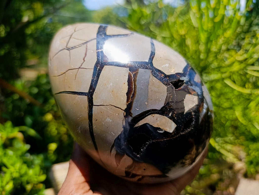 Polished Large Septerye Sauvage "Dragons Egg" Geode x 1 From Mahajanga, Madagascar