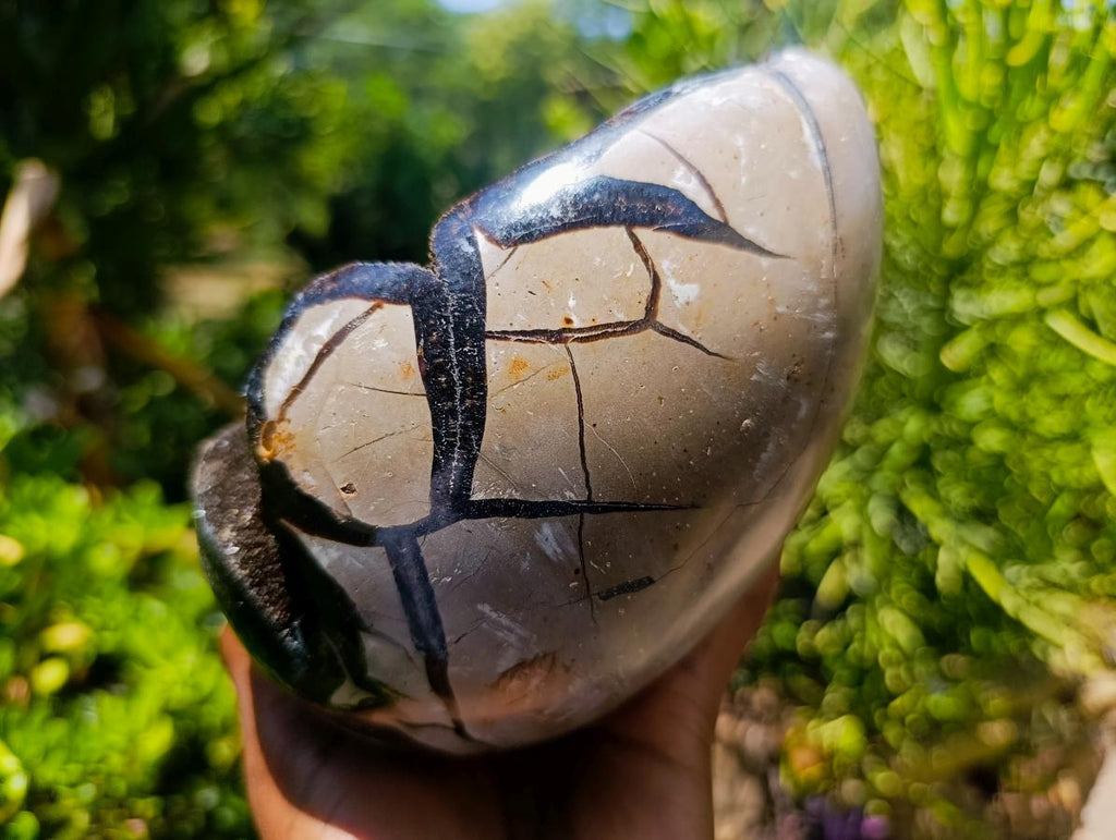 Polished Large Septerye Sauvage "Dragons Egg" Geode x 1 From Mahajanga, Madagascar