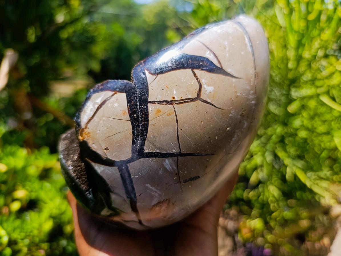 Polished Large Septerye Sauvage "Dragons Egg" Geode x 1 From Mahajanga, Madagascar