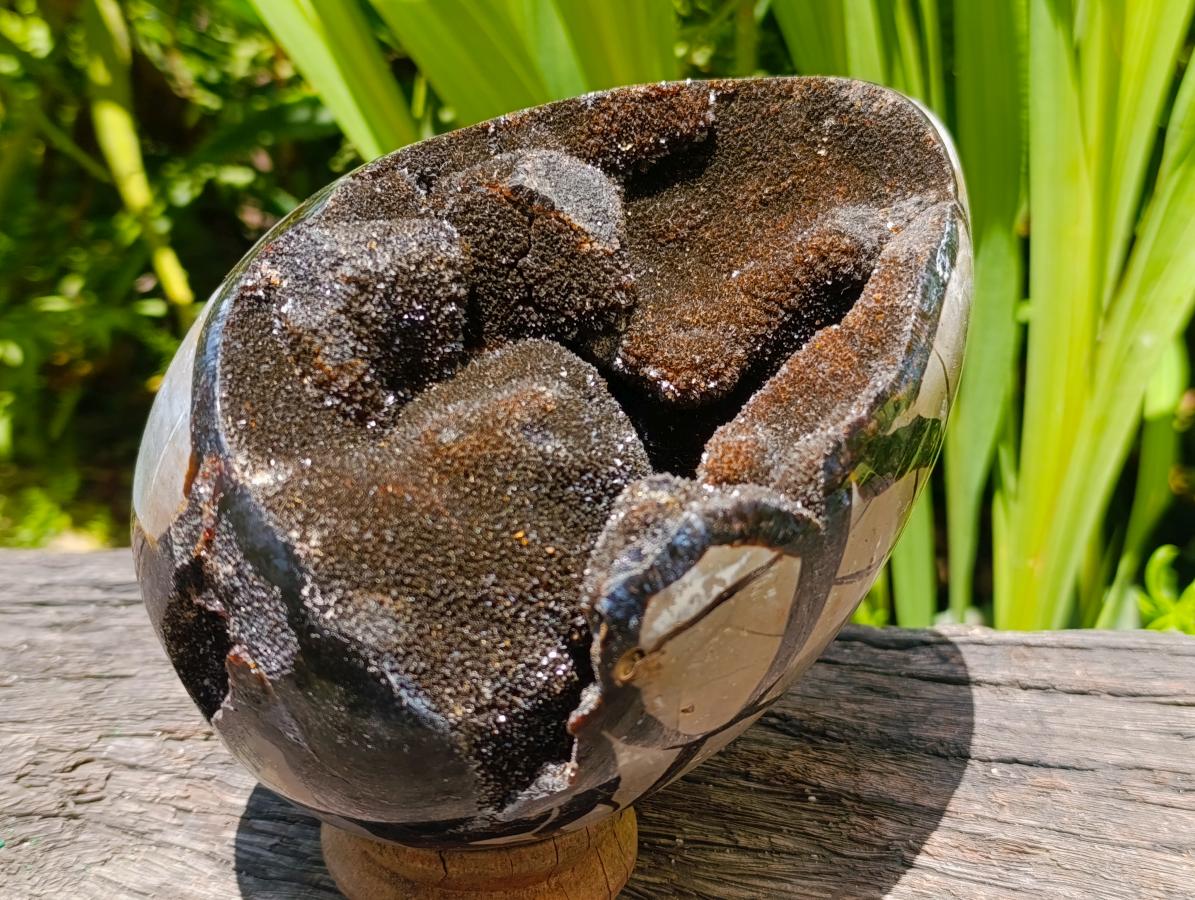 Polished Large Septerye Sauvage "Dragons Egg" Geode x 1 From Mahajanga, Madagascar