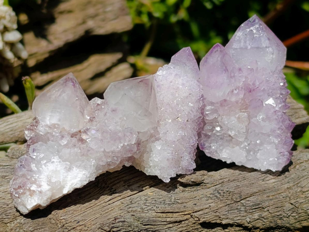 Natural Amethyst Spirit Crystals x 35 From Boekenhouthoek, South Africa