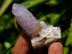 Natural Amethyst Spirit Crystals x 35 From Boekenhouthoek, South Africa