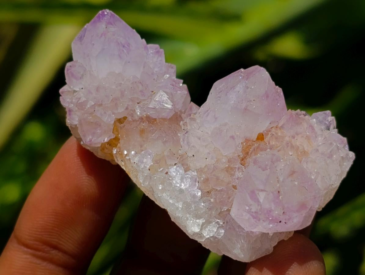Natural Amethyst Spirit Crystals x 35 From Boekenhouthoek, South Africa