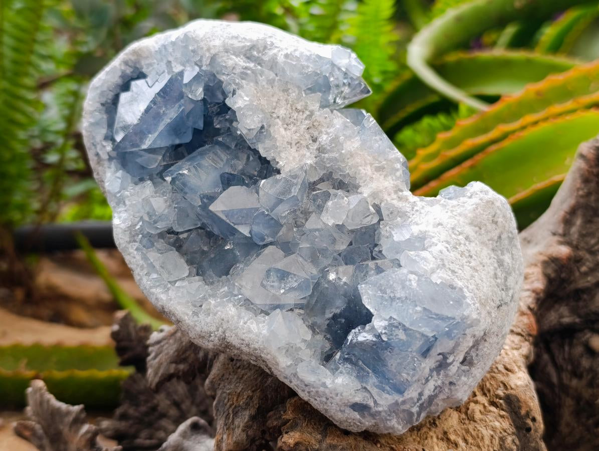Natural Blue Celestite Specimens x 2 From Sakoany, Madagascar