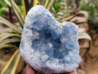 Natural Blue Celestite Specimens x 2 From Sakoany, Madagascar