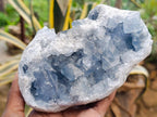Natural Blue Celestite Specimens x 2 From Sakoany, Madagascar