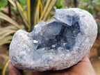 Natural Blue Celestite Specimens x 2 From Sakoany, Madagascar