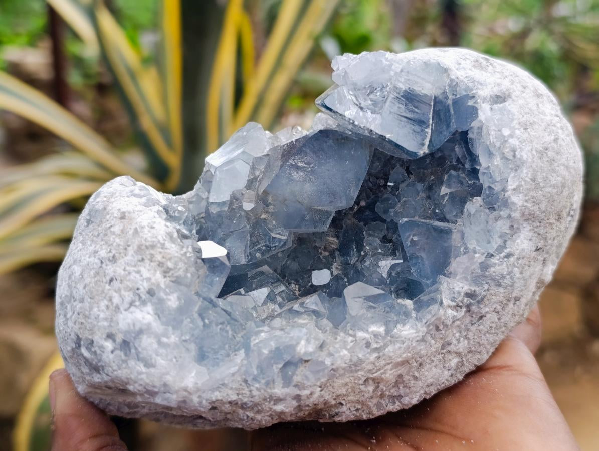 Natural Blue Celestite Specimens x 2 From Sakoany, Madagascar