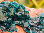 Natural Dioptase with Malachite On Dolomite Specimens x 3 From Likasi, Congo
