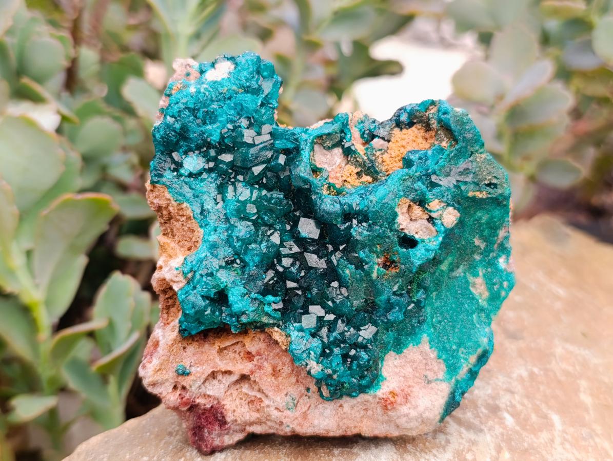 Natural Dioptase with Malachite On Dolomite Specimens x 3 From Likasi, Congo