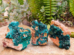 Natural Dioptase with Malachite On Dolomite Specimens x 3 From Likasi, Congo