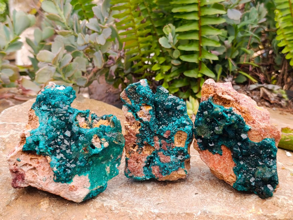 Natural Dioptase with Malachite On Dolomite Specimens x 3 From Likasi, Congo