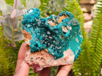 Natural Dioptase with Malachite On Dolomite Specimens x 3 From Likasi, Congo