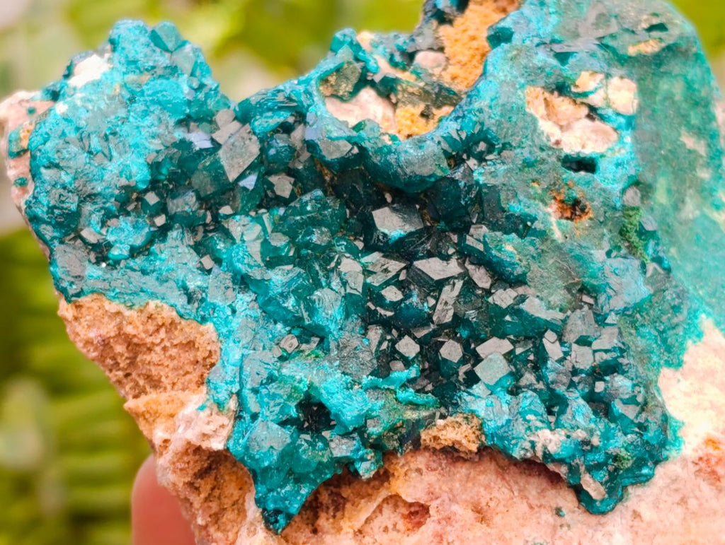 Natural Dioptase with Malachite On Dolomite Specimens x 3 From Likasi, Congo