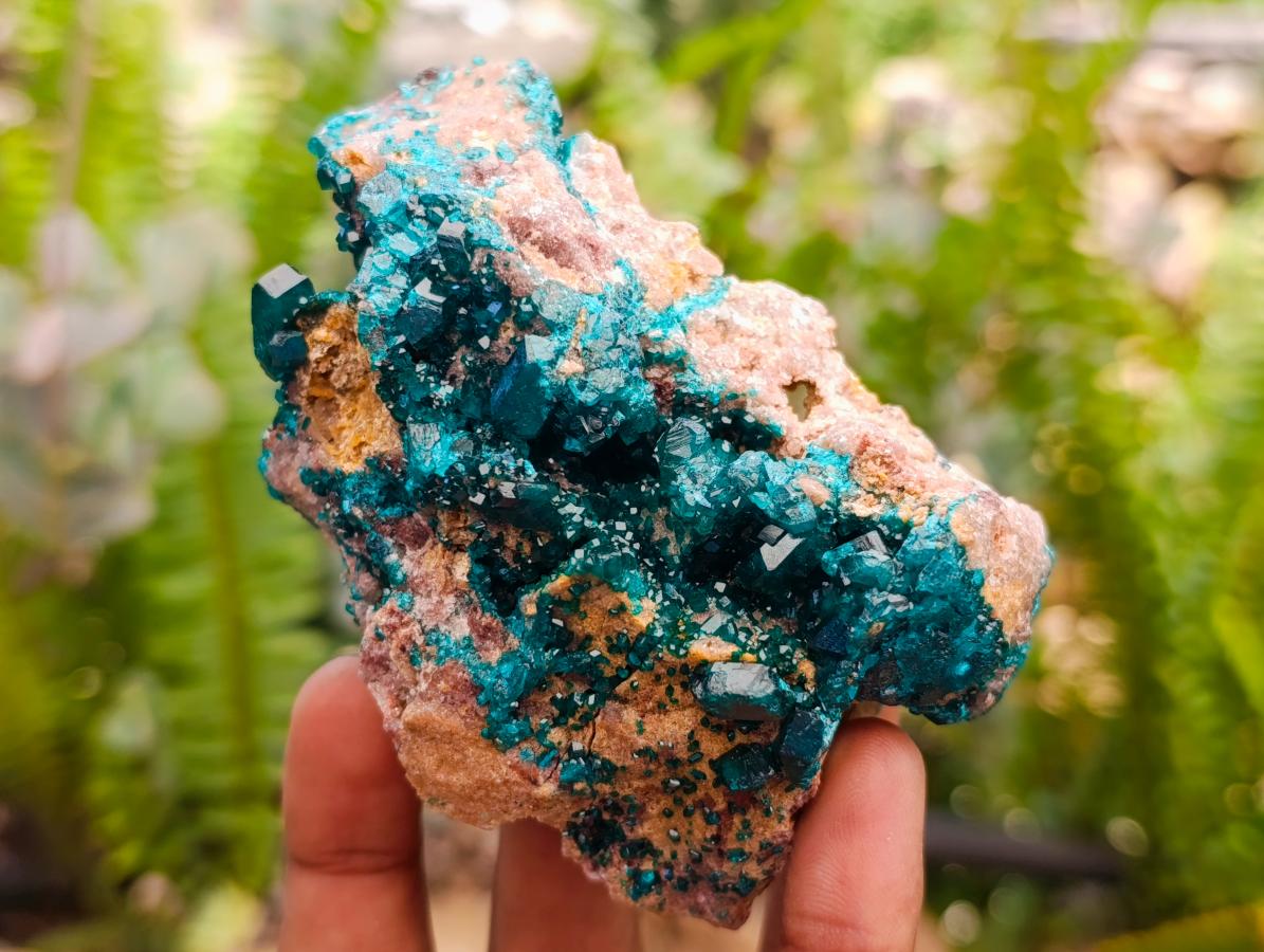 Natural Dioptase with Malachite On Dolomite Specimens x 3 From Likasi, Congo