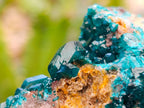 Natural Dioptase with Malachite On Dolomite Specimens x 3 From Likasi, Congo