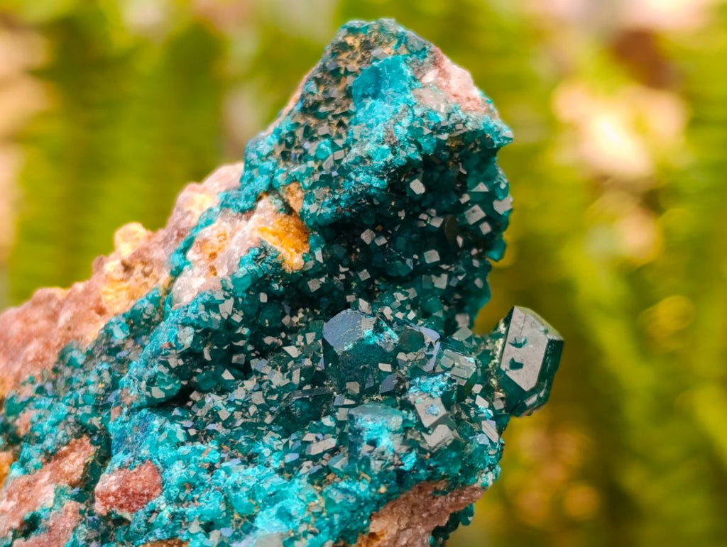 Natural Dioptase with Malachite On Dolomite Specimens x 3 From Likasi, Congo