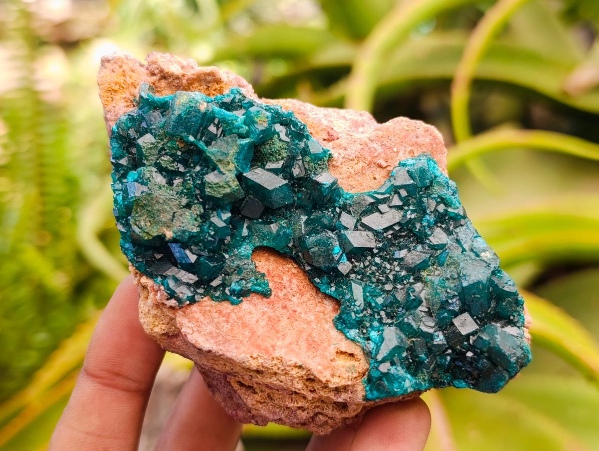 Natural Dioptase with Malachite On Dolomite Specimens x 3 From Likasi, Congo