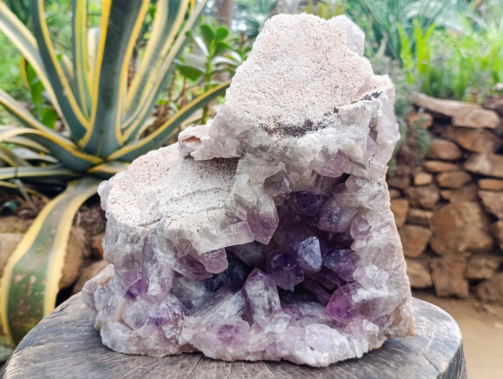 Natural XL Jacaranda Amethyst Crystal Cluster x 1 From Mumbwa, Zambia