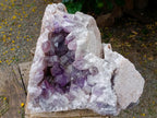 Natural XL Jacaranda Amethyst Crystal Cluster x 1 From Mumbwa, Zambia