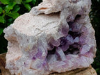 Natural XL Jacaranda Amethyst Crystal Cluster x 1 From Mumbwa, Zambia