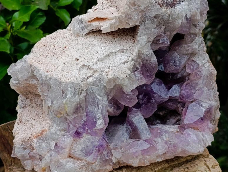 Natural XL Jacaranda Amethyst Crystal Cluster x 1 From Mumbwa, Zambia