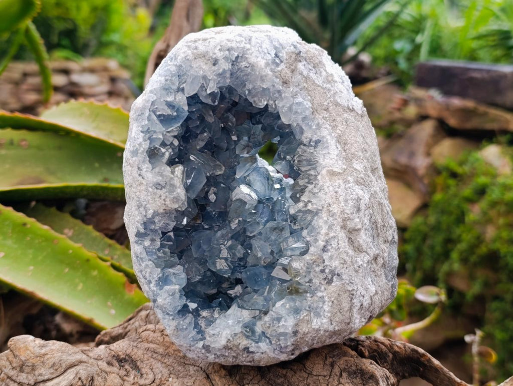 Natural Large Blue Celestite Geode Specimen x 1 From Sakoany, Madagascar