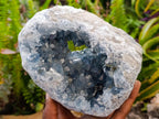 Natural Large Blue Celestite Geode Specimen x 1 From Sakoany, Madagascar
