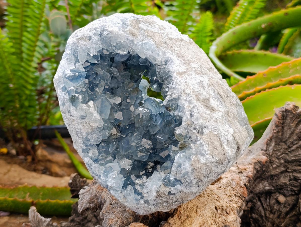 Natural Large Blue Celestite Geode Specimen x 1 From Sakoany, Madagascar