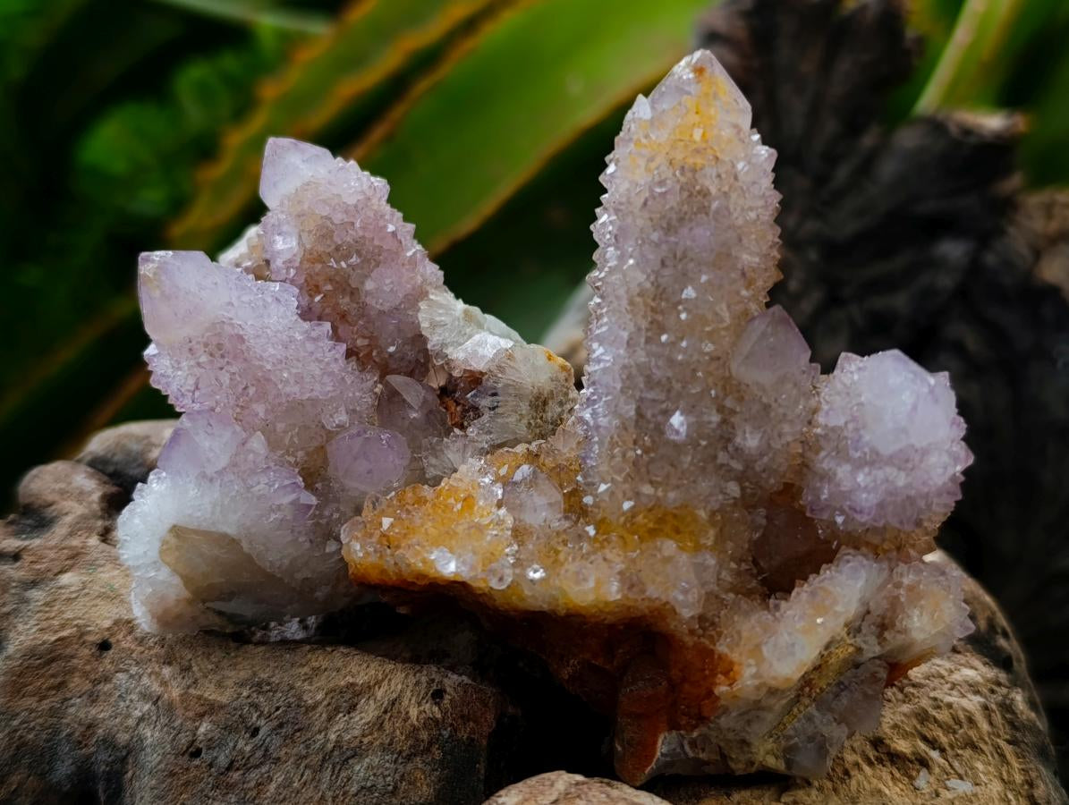 Natural Amethyst and Ametrine Spirit Clusters x 12 From Boekenhouthoek, South Africa