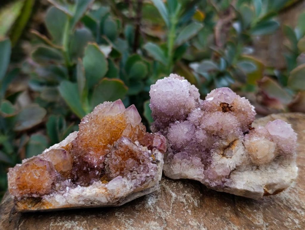 Natural Amethyst and Ametrine Spirit Clusters x 12 From Boekenhouthoek, South Africa