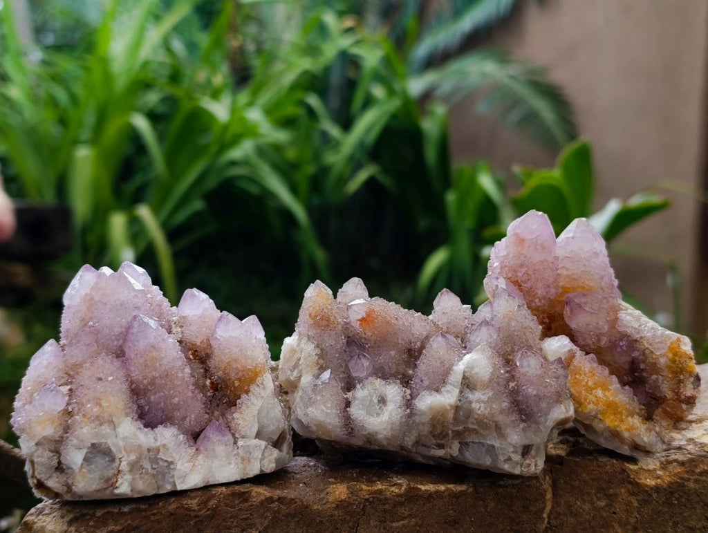 Natural Amethyst and Ametrine Spirit Clusters x 12 From Boekenhouthoek, South Africa
