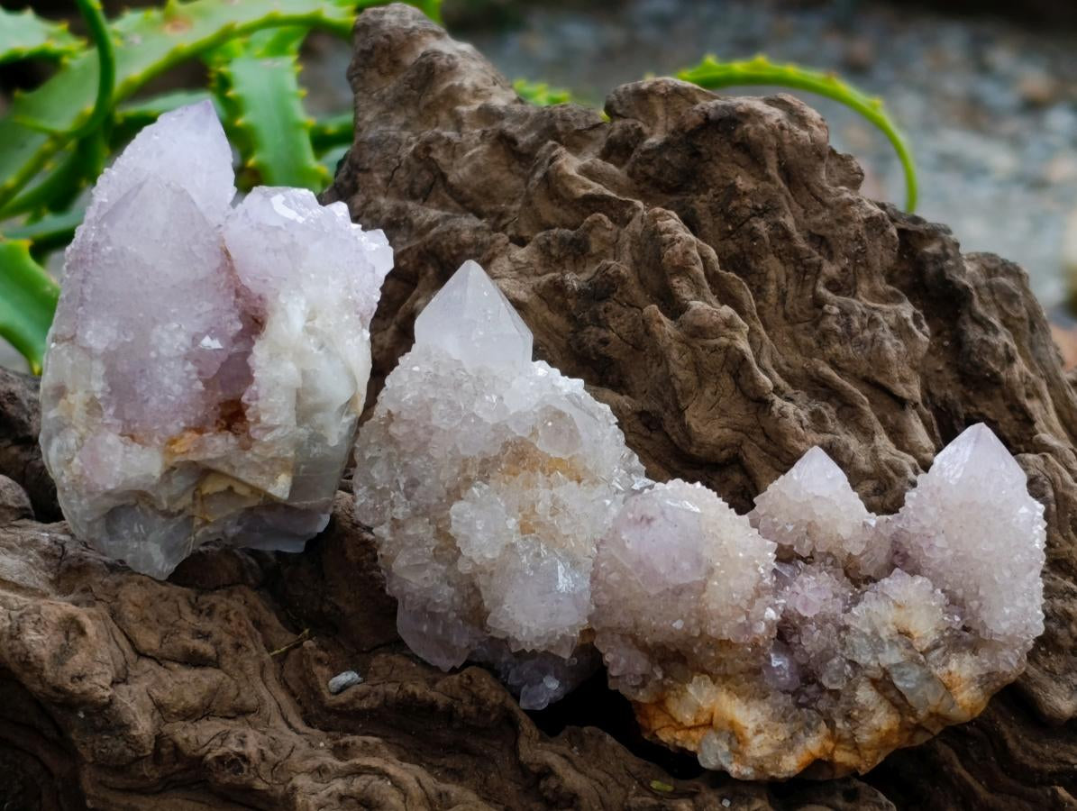 Natural Amethyst and Ametrine Spirit Clusters x 12 From Boekenhouthoek, South Africa